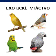 exotické vtáctvo_1